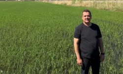 İpsala Çeltik Üreticileri Birliği'nden tepki