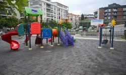 İzmir Bornova'da ortak akıl dönemi