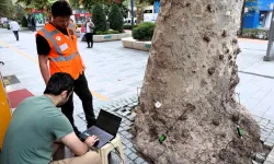 Kocaeli'nin doğal mirasına tomografi