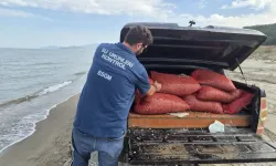 Mudanya Eğerce'de 2,7 ton kum şırlanı denize iade edildi!