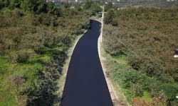 Ordu İkizce Düzpelit Mahallesi asfalta kavuşuyor