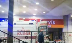 Ormanda kaza kurşunuyla vuruldu