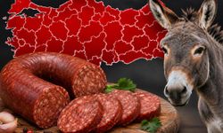 Bakanlık açıkladı İşte Türkiye'nin midesini bulandıran liste!