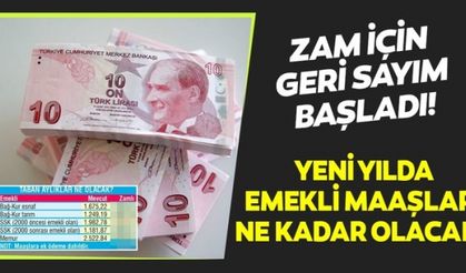 2020 emekli maaşları ne kadar olacak? Emekli maaşlarına ne kadar zam gelecek?