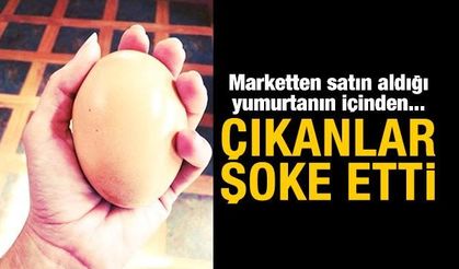 Çıkanlar şok etti