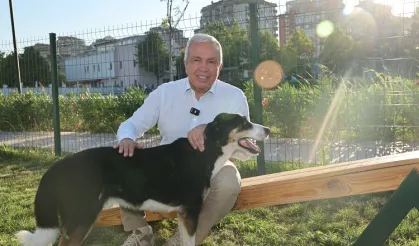 Bursa Nilüfer’de can dostlar yeni yuvalarına kavuştu