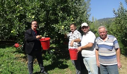 Bursa İnegöl'de Elma Hasadı Başladı!