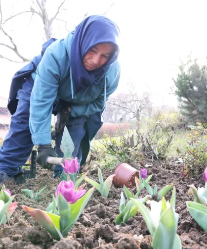 Bursa Osmangazi'nin her bir noktası çiçek açtı