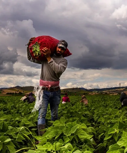 Bursa Yenişehir'de tarımı geliştiren, sanayi ve ticareti büyüten anlayış hakim