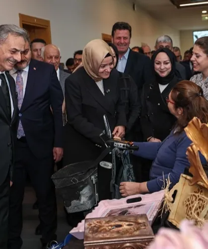 Cumhurbaşkanı ödüllü projeyle Sakarya'da ulaşımda engeller kalktı