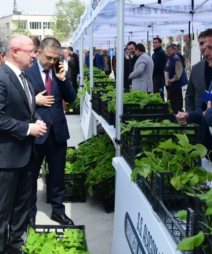 Kestel'de çiftçiye Ahududu desteği