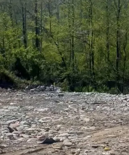 Rize'de vahşi depolamaya milyonluk ceza! Çevre'den suç duyurusu
