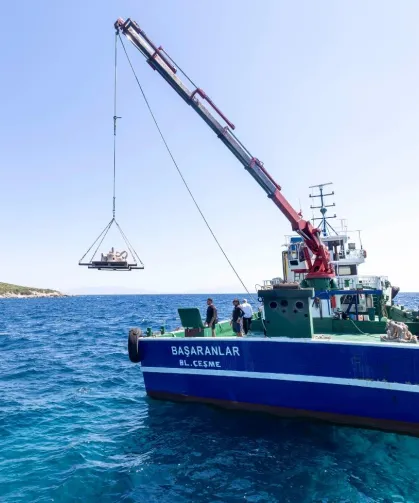 İzmir'de midye kabukları deniz yaşamına nefes olacak