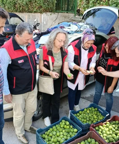 Bursa siyah inciri için ilek kontrolleri tamamlandı