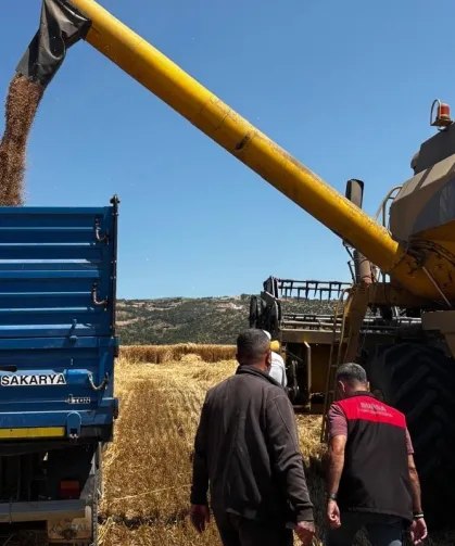 Bursa'da hububat hasadında sıkı denetim... Dane kaybına geçit yok