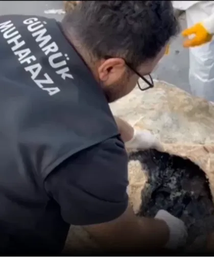 Hamzabeyli'nde yaban hayvanı kaçakçılığına darbe! 2 vaşak ve 2 serval kurtarıldı