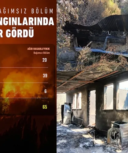 Son orman yangınlarında hasar ne kadar?