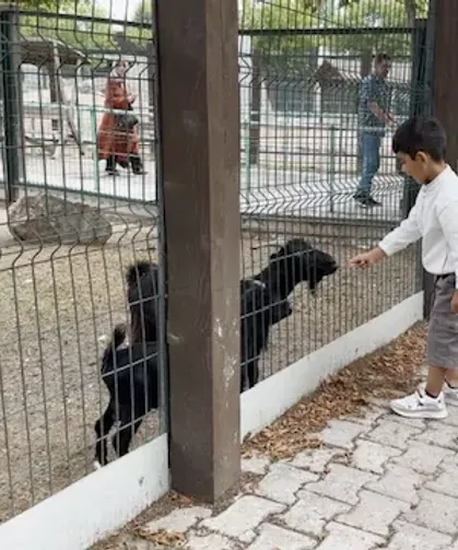 Hayvanat Bahçesi'nde 30 Ağustos bereketi