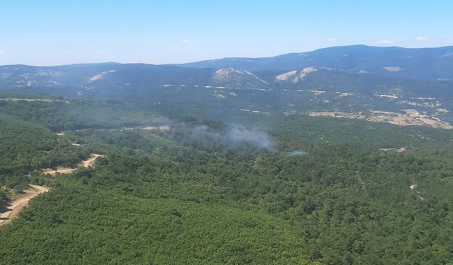 Bursa'da orman yangını