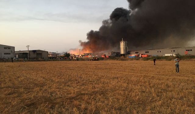 İnegöl’de yangın sürüyor