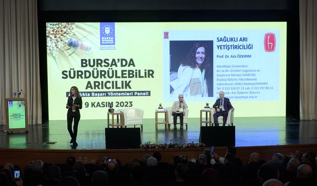 Arıcılıkta başarı yöntemleri