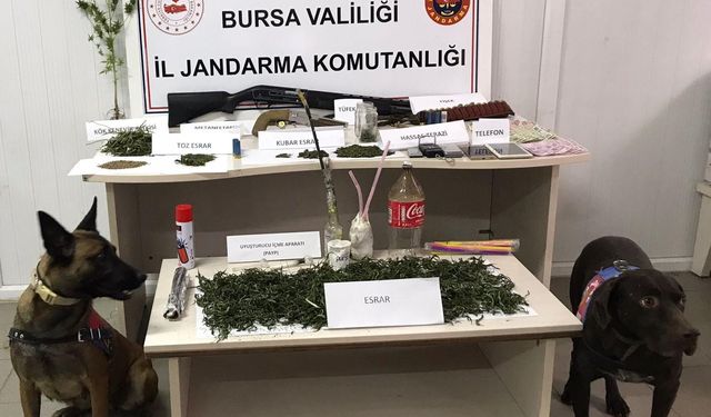 İnegöl Jandarma'dan uyuşturucu operasyonu