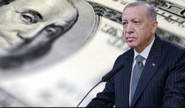 Erdoğan dayanamayacak "dur" diyecek! Dolar 2024'te patlayacak