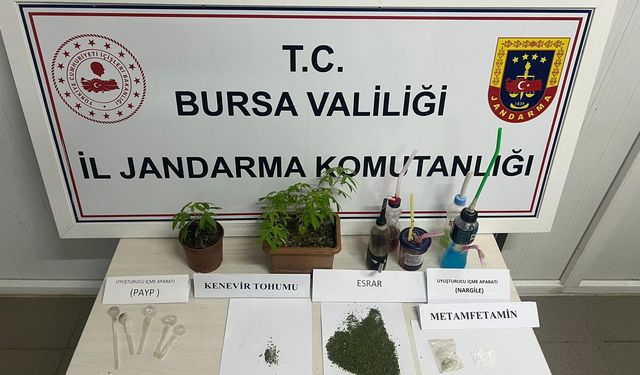 İnegöl'de jandarmadan yasadışı kenevir operasyonu!