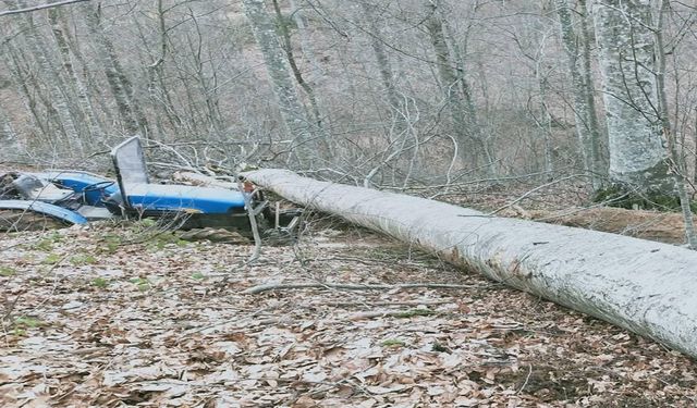 İnegöl'de korkunç olay ağaç işçinin üzerine devrildi