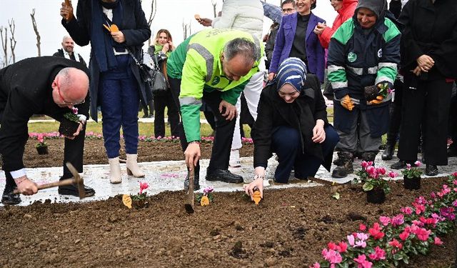 Bursa'da erguvan fidanları toprakla buluştu