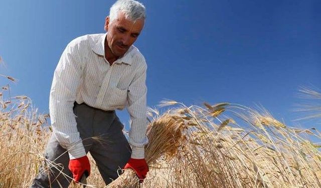 Emekli vatandaşlarda yoksulluk patlaması yaşandı! TÜİK son istatistikleri yayımladı