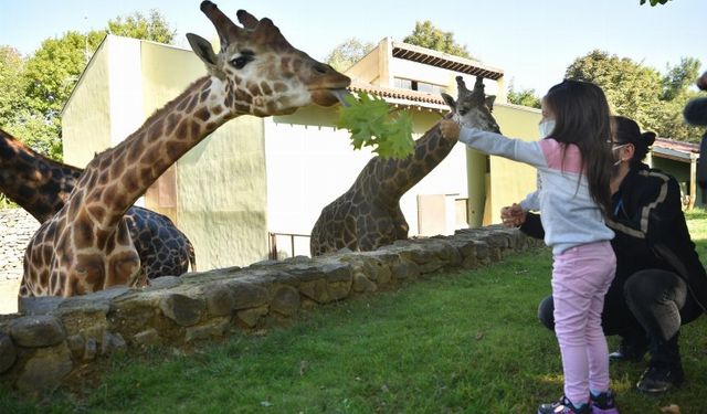Bursa Büyükşehir'den 'hayvanat bahçesi' açıklaması