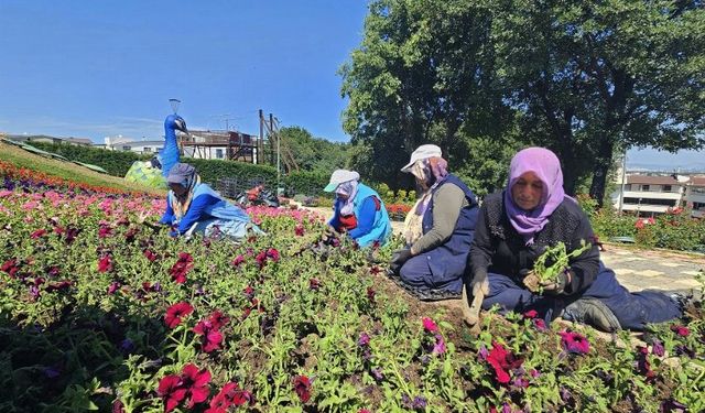 Bursa Osmangazi çiçek açıyor