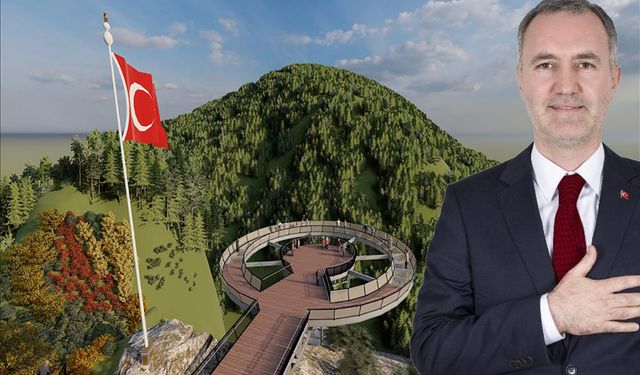 Başkan Taban'ın projesi mi orman işletmenin mi?