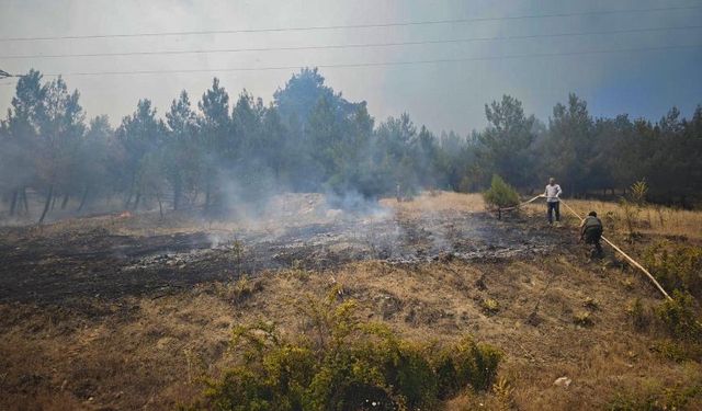 Bursa Büyükorhan'da yangın kabusu