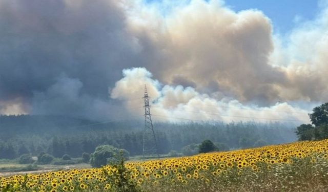 Bursa Nilüfer'deki orman yangını üniversiteye sıçradı