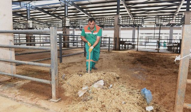 Bursa Osmangazi'de pazarlar temizlendi