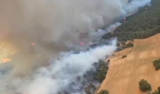 Çanakkale Eceabat'ta yangına müdahale sürüyor!