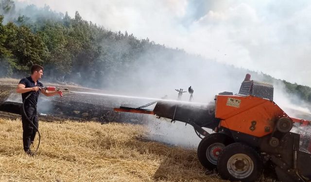 Edirne'de anız yangını ormana sıçradı