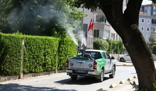 Bursa’da yetersiz ilaçlama, sinek istilasına kapı aralıyor