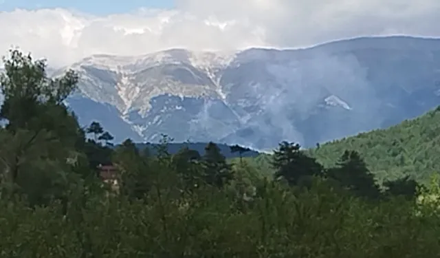 Bursa Keles'te orman yangını