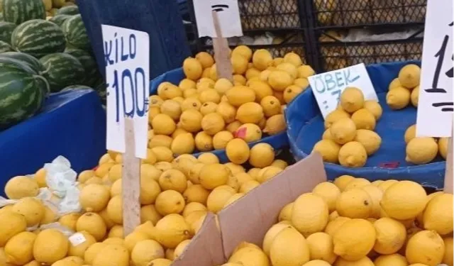 Limon üreticisinin sesine duyarsızlık fahiş fiyatlara neden oldu