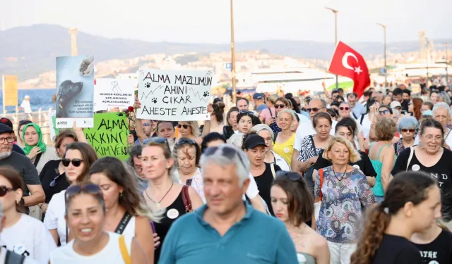 Sahipsiz hayvanlar için sesler Mudanya'dan yükseldi