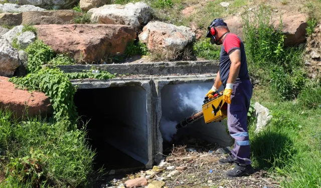 Büyükşehir vektörlere karşı savaşını sürdürüyor