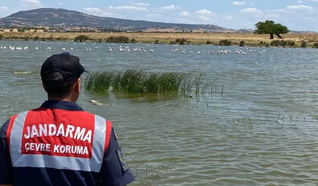 Edirne Jandarması Gala Gölü'nü koruyor