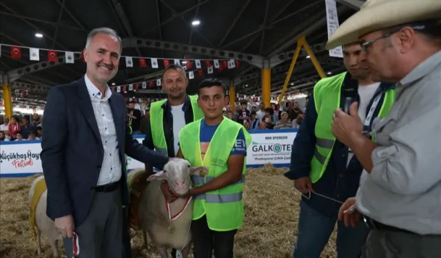 İnegöl'de yerli tavuk ırkları ile koçlar podyuma çıkacak