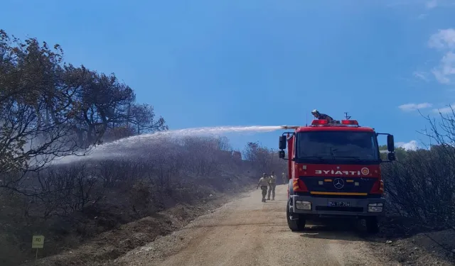 Sakarya'dan yangına müdahale açıklaması