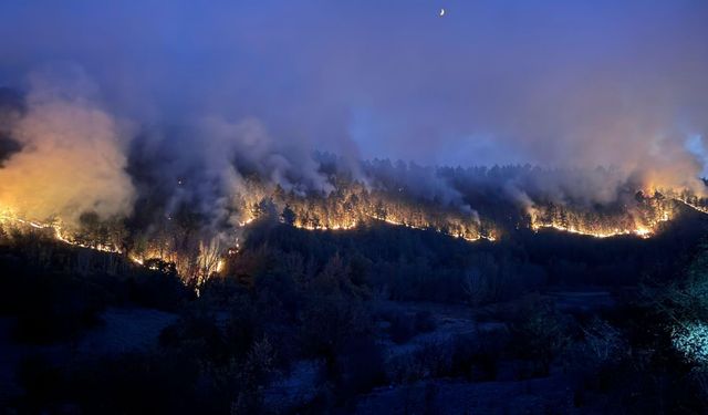 Bursa'da çıkan orman yangınına müdahale devam ediyor