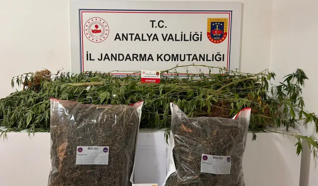 Alanya'da jandarmadan geçit yok!