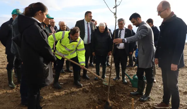 Bursa Karacabey'de şehit Aybüke öğretmen anısına hatıra ormanı